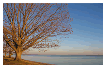 Black Point Jamestown