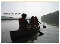 Tuckahoe